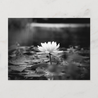 085-Series1 Postcard