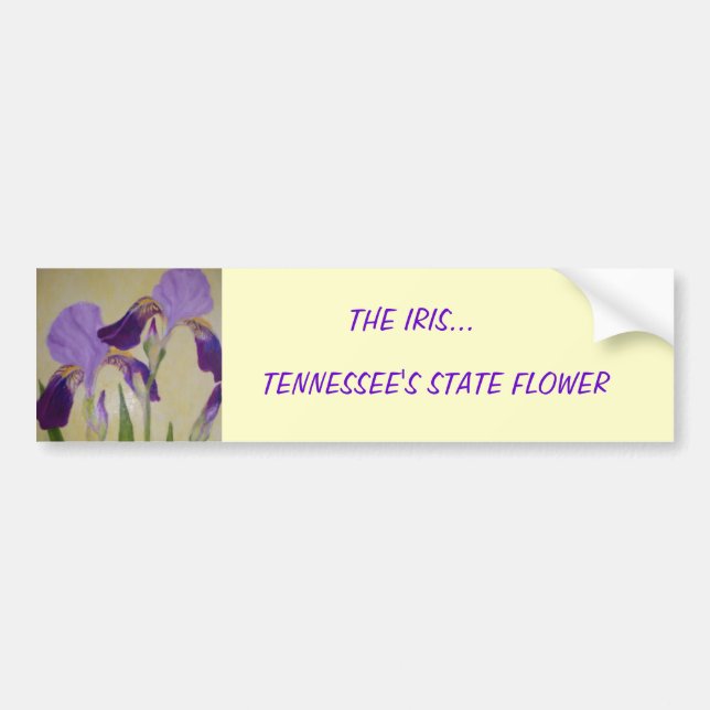 087, THE IRIS..., TENNESSEE'S STATE FLOWER BUMPER STICKER (Front)