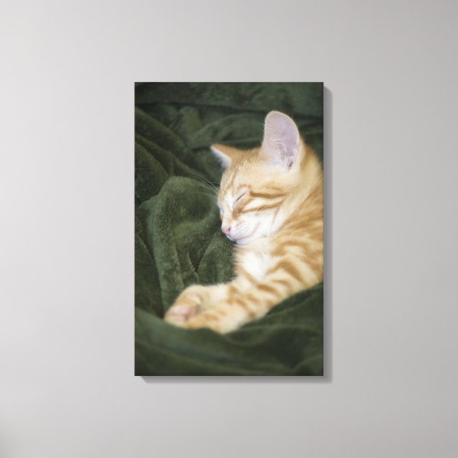0 3 CANVAS PRINT (Front)