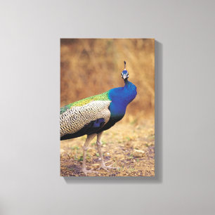 0 4 CANVAS PRINT