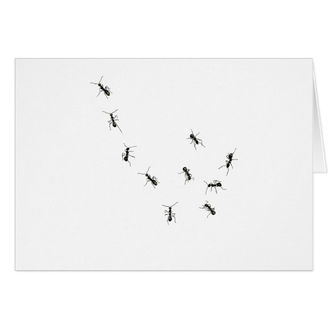 10 (Devant horizontal)