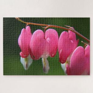 1000 piece Bleeding Heart Jigsaw Puzzle