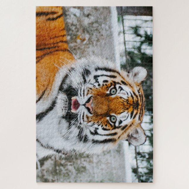 1000 Piece Cute Tiger Jigsaw Puzzle (Vertical)