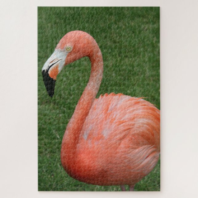 1000 piece Pink Flamingo Jigsaw Puzzle (Vertical)