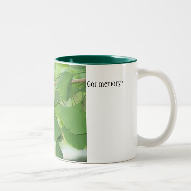 100_0337, Got memory? Two-Tone Coffee Mug (Right)