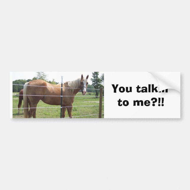 100_0415, You talkin' to me?!! Bumper Sticker (Front)