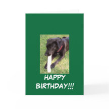 100_0695, HAPPY BIRTHDAY!!!