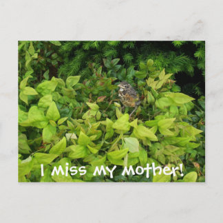 100_1805, I miss my mother! Postcard