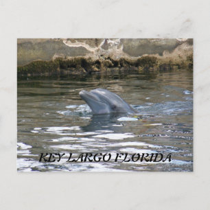 100_8578, KEY LARGO FLORIDA POSTCARD