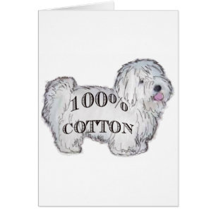 100% Coton
