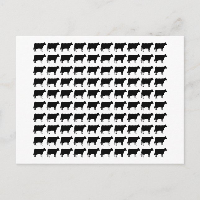 100 Cows Postcard (Front)