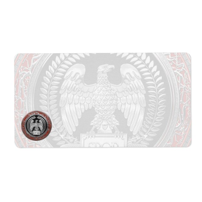 [100] Silver Roman Imperial Eagle (Front)