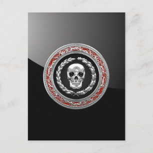 [100] Silver Skull Postcard