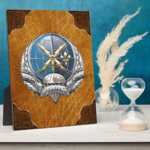[100] SOWT Emblem Plaque