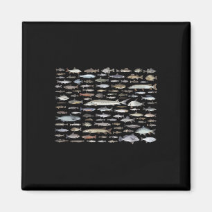 100 Types Of Freshwater Fish Species Fishing Magnet
