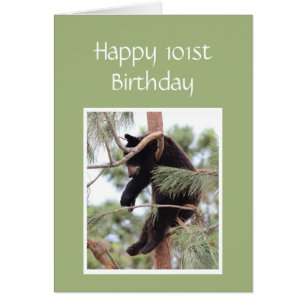 101 Birthday Old Enough Your Tired is Tired Bear