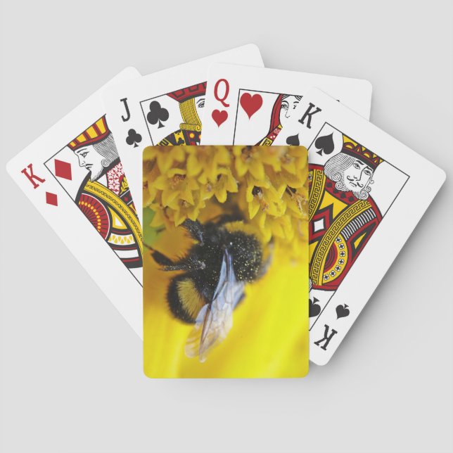 101.JPG PLAYING CARDS (Back)