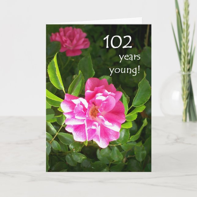 102nd Carte d'anniversaire - roses roses (Devant)