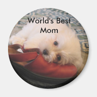 104_0471, World's Best Mom Magnet