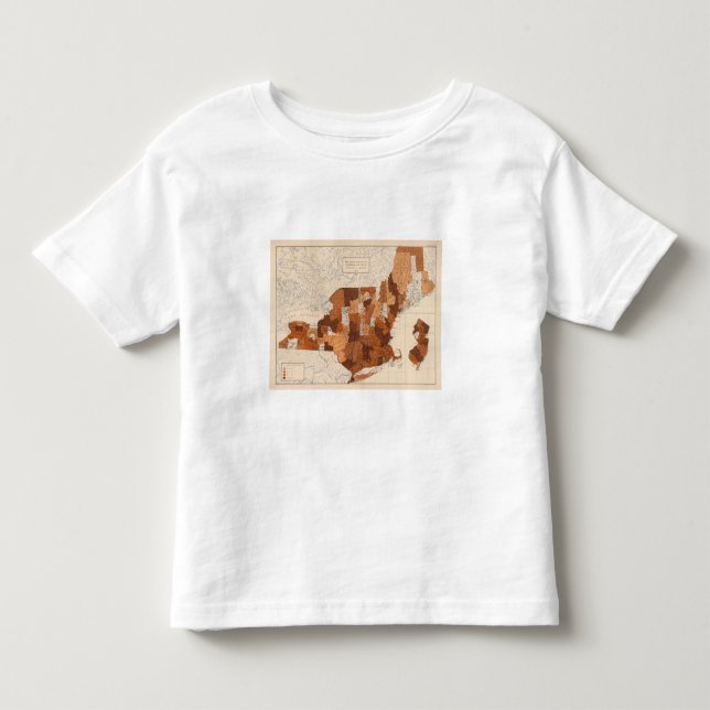 105 Diphtheria, croup NY, NJ, New England Toddler T-shirt (Front)