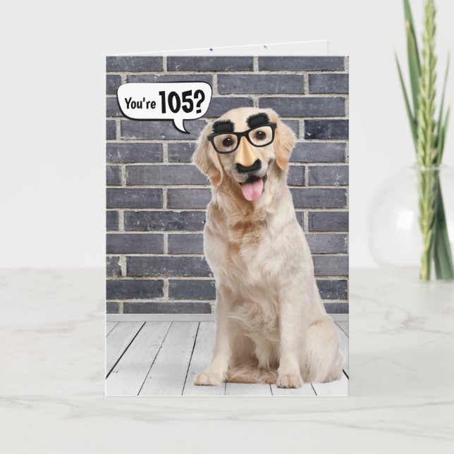 105th Birthday Funny Golden Retriever Card (Front)