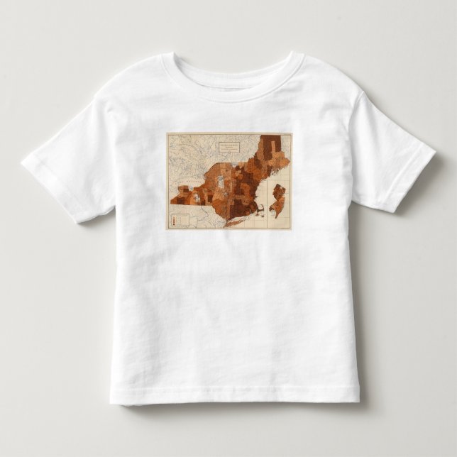 107 Influenza NY, NJ, New England Toddler T-shirt (Front)