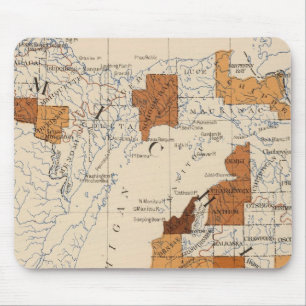 108 Influenza Michigan Mouse Pad