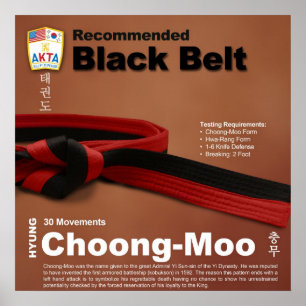 10-11 Poster recommandé Black Belt Do-jang
