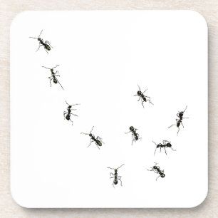10 ants beverage coaster