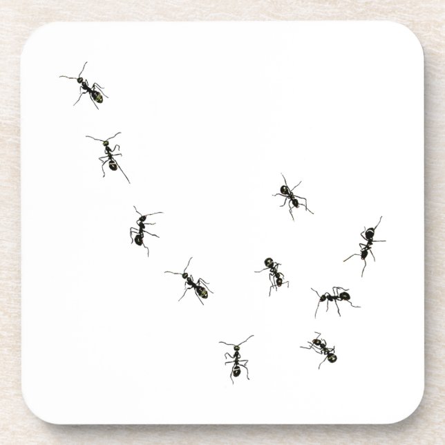 10 ants beverage coaster (Front)