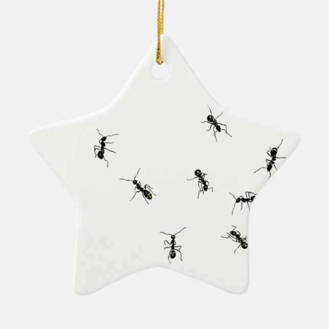 10 ants ceramic ornament (Front)