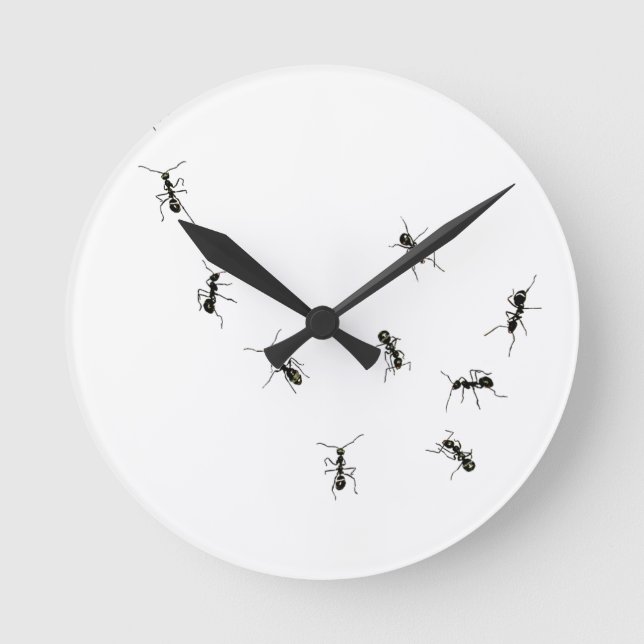 10 ants round clock (Front)