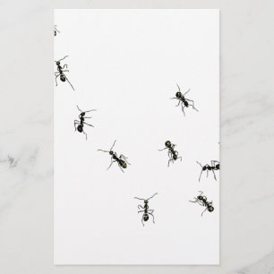 10 ants stationery
