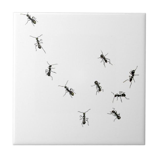 10 ants tile (Front)