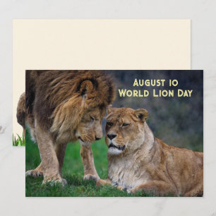 10 août, Journée mondiale du lion 5 x 7 carte