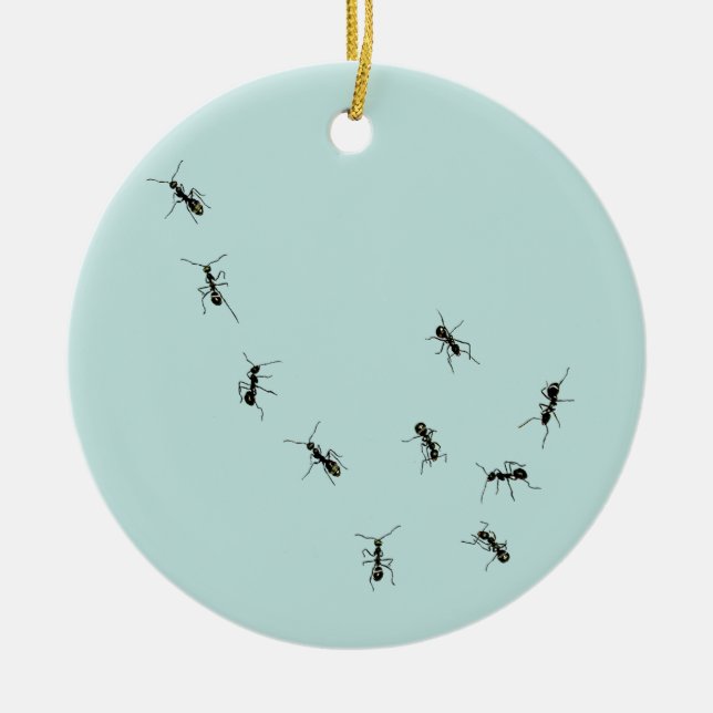 10 fourmis ornement céramique (Devant)