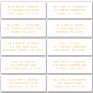 10 Individual Guest Name Address Party Wedding