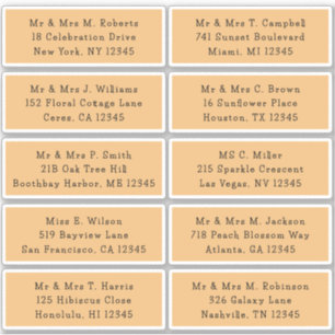 10 Individual Guest Name Address Party Wedding