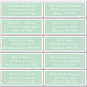 10 Individual Guest Name Address Party Wedding