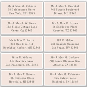 10 Individual Guest Name Address Party Wedding