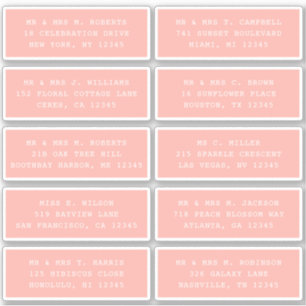 10 Individual Guest Name Address Party Wedding Sti