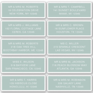 10 Individual Guest Name Address Party Wedding Sti