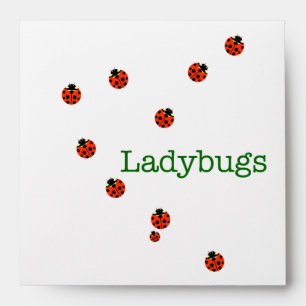 10 ladybugs envelope