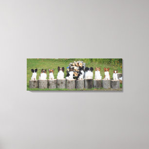 10 Little Papillons Canvas Print