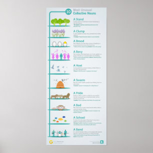 10 Most Unusual Collective Nouns Revealed and Expl Poster