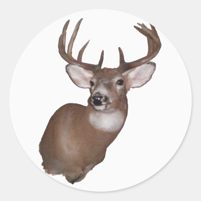 10 Point Buck Classic Round Sticker (Front)