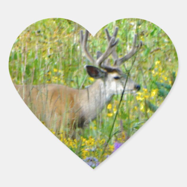 10 Point velvet buck in a field of wildflowers Heart Sticker (Front)