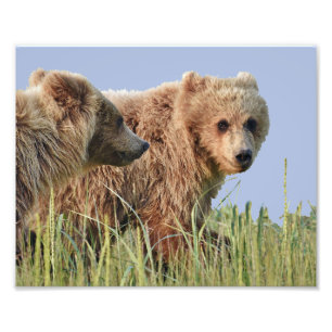 10" x 8", Kodak Professional Photo Paper (Satin) Print