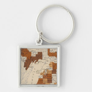 110 Typhoid fever Michigan Keychain