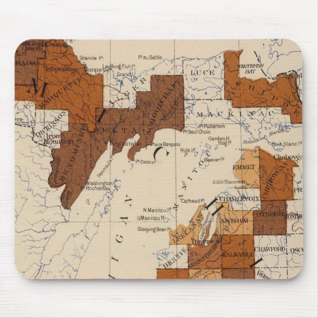 110 Typhoid fever Michigan Mouse Pad (Front)